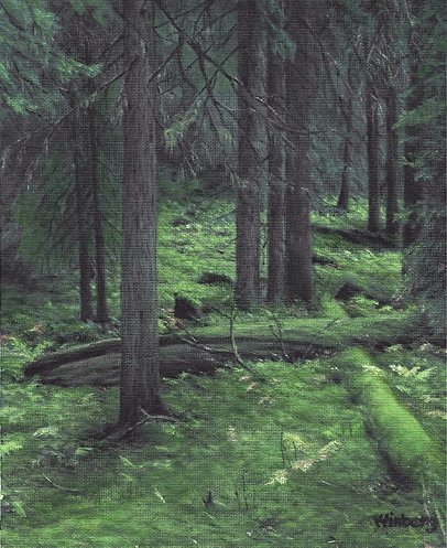 Dark forest