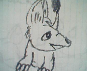 Bori Quick Draw