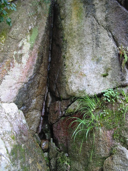 wet rocks