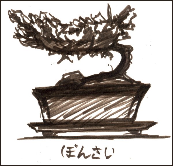 Bonsai