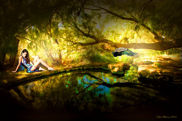Beauty In Reflection