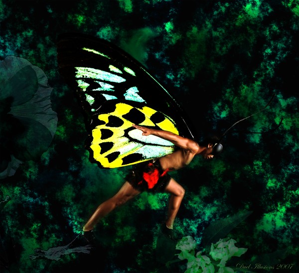 Natures Transformation