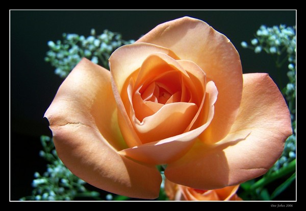 April Greetings