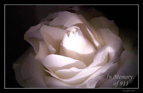 A Day of Great Sorrow