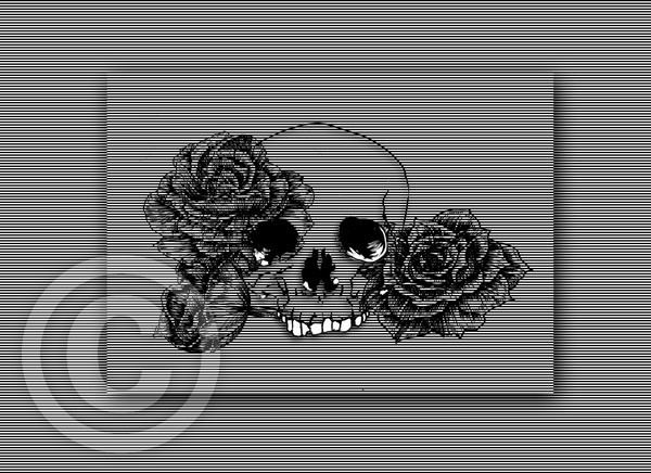 black 'n white