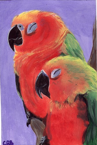 Bird Nap