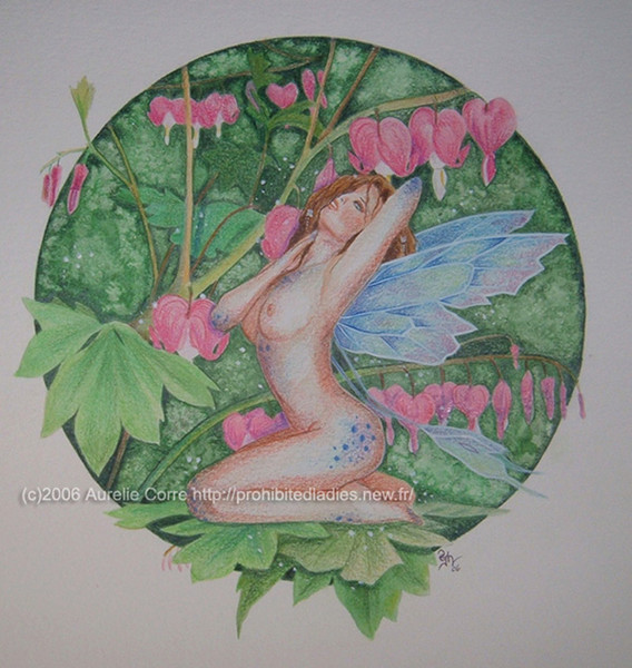 Bleeding hearts