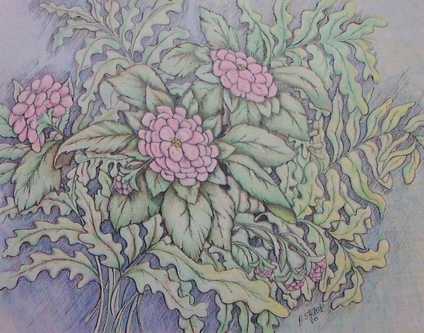 Pink Flowers