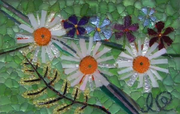 Young daisies