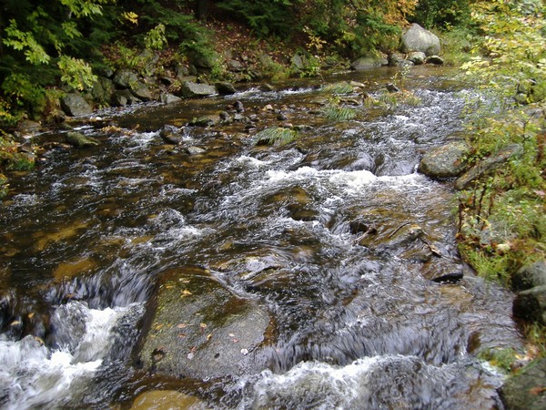 Stream