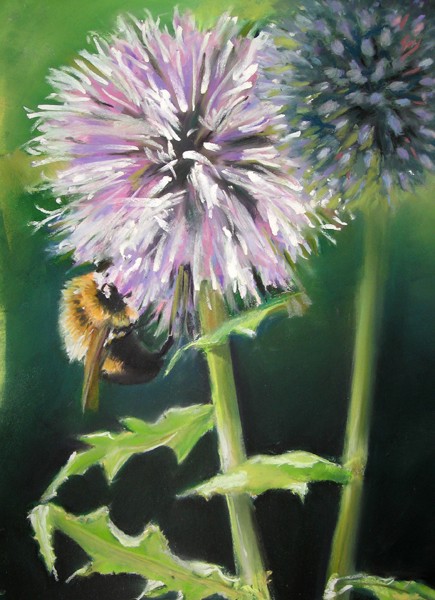 Bee & Clover
