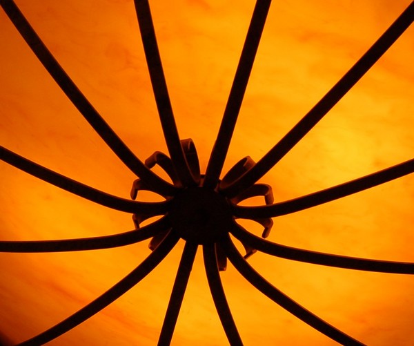 Golden Spider 