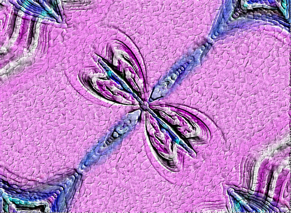 Dragonfly Meet