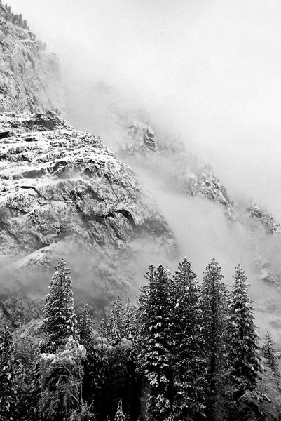 Snow Covered Trees and Mountain