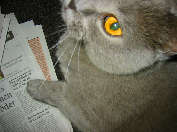 quorum and his newspaper...
