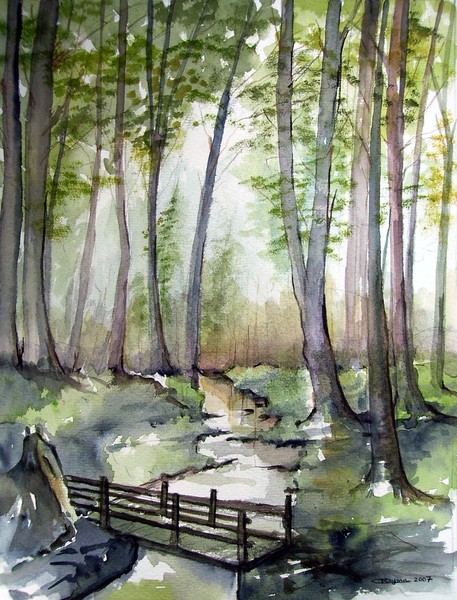 Wood Colors