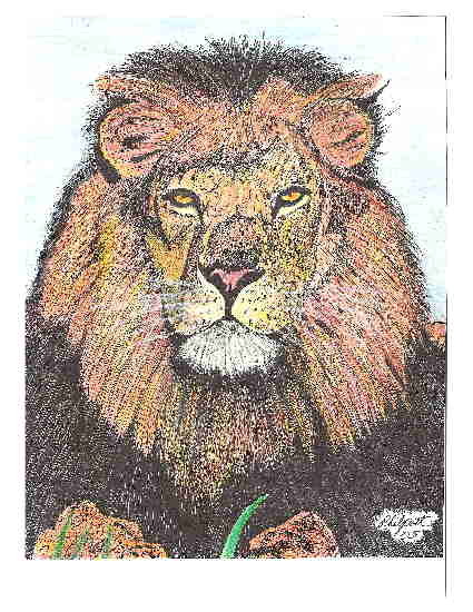 LEO