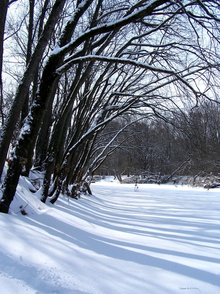 Vermillion Snow