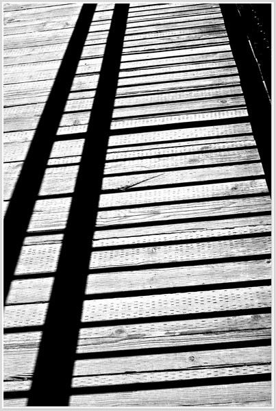 Shadow