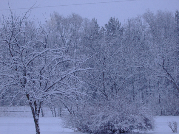 Snow storm