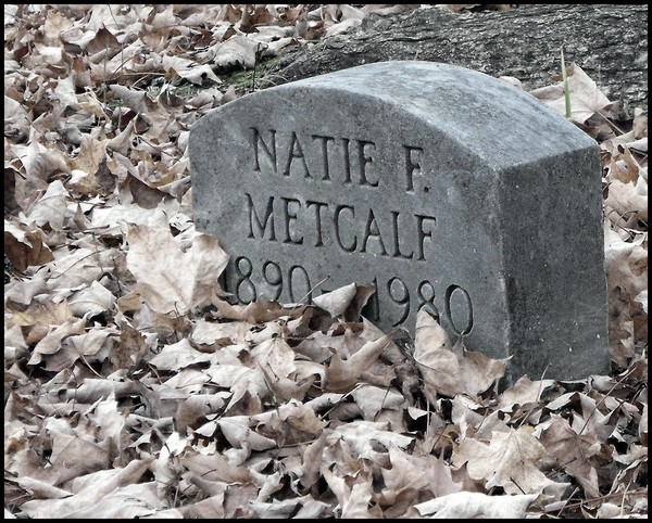 State Of Decay