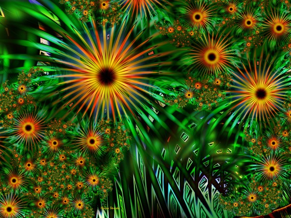 sunflowers