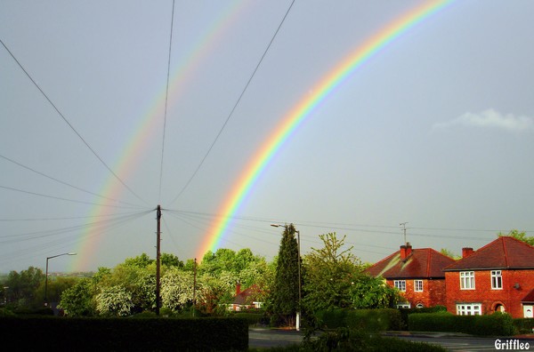 SUBURBAN RAINBOWS