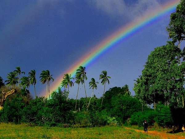 Rainbow over Takaungu
