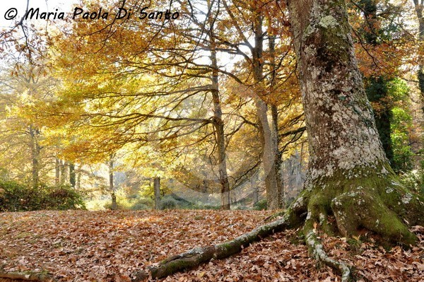 Surrounded by the colors of autumn