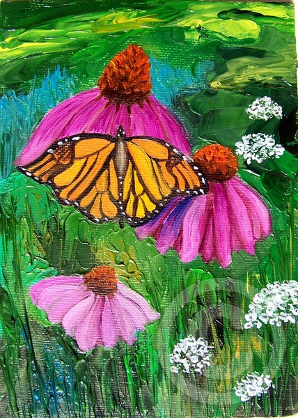 Butterfly 