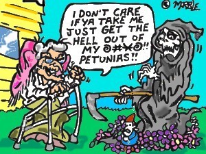 Petunias