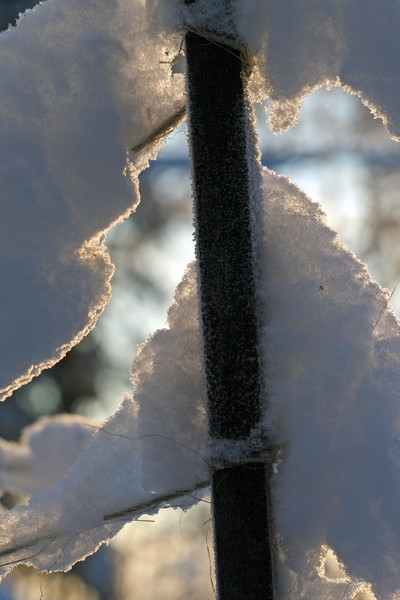 Snow's Curtain