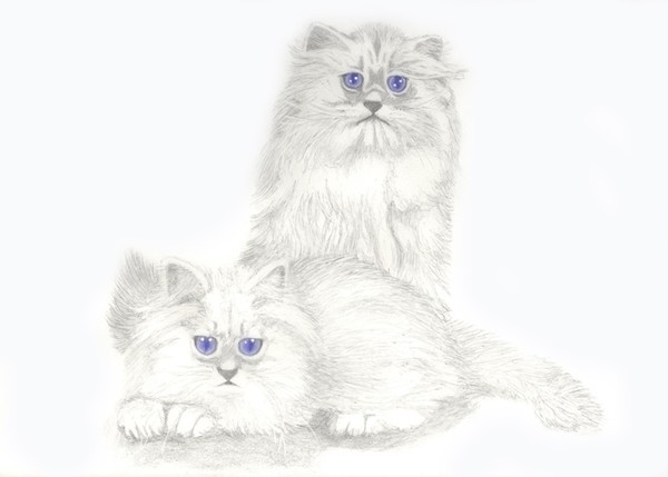 Blue Eyes
