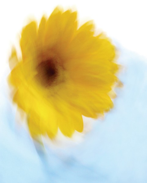 Soft Radiance