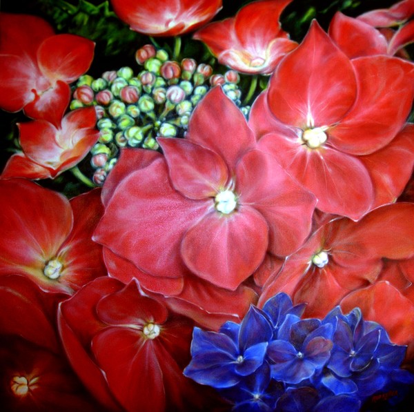 Hortensias  SOLD