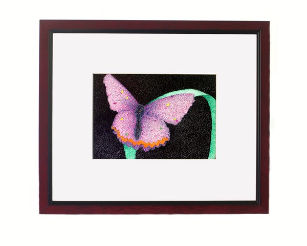 borboleta (butterfly)