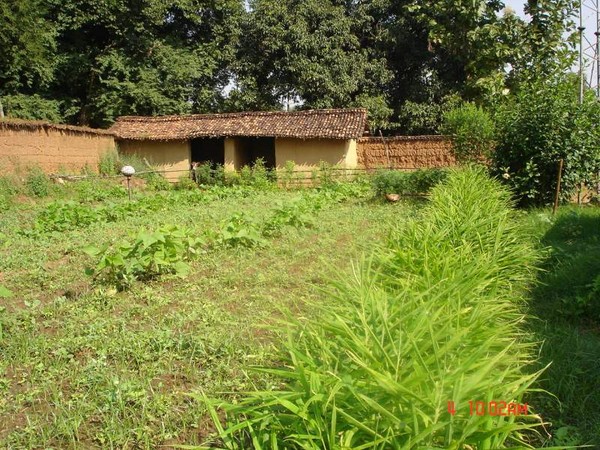 Farm1