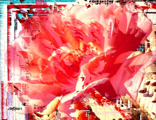Caged Rose
