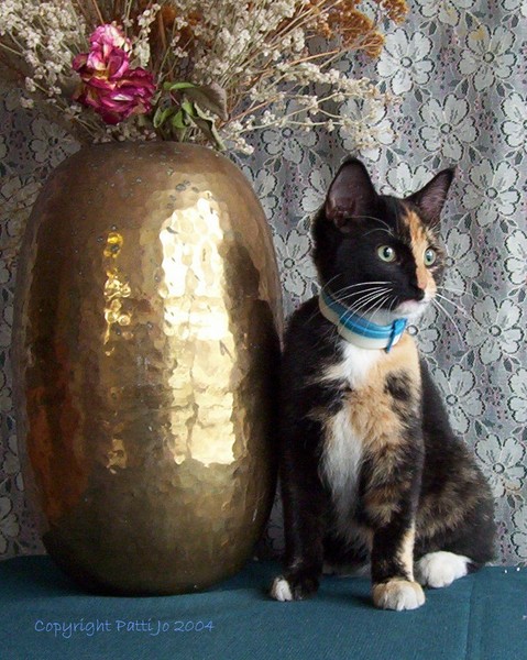 Icky...The Lady...Original Photograph