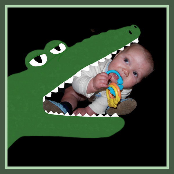 Crocodile Hunter