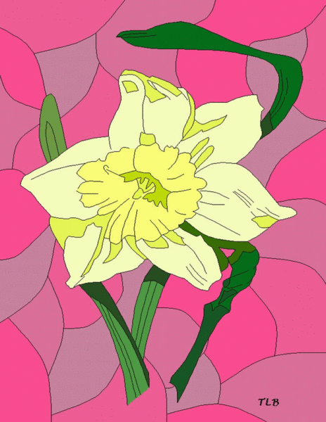yellow daffodil