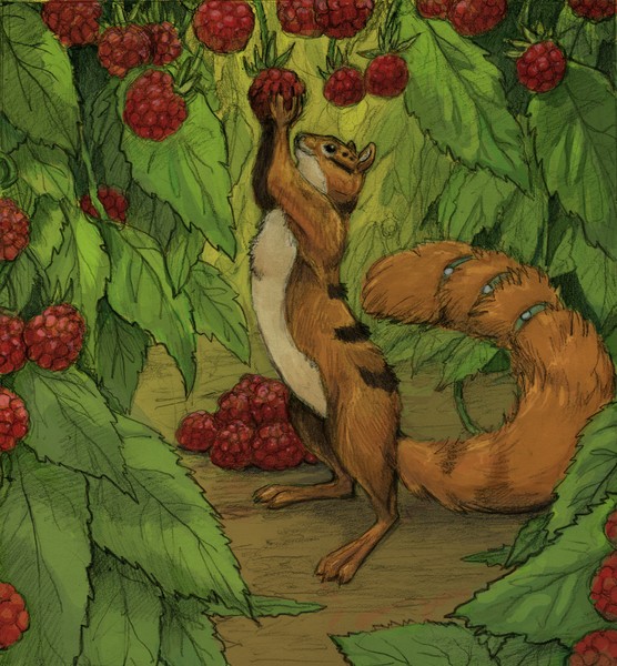 Berry Picking