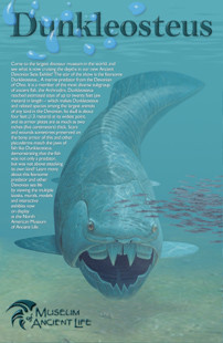 dunkleosteus