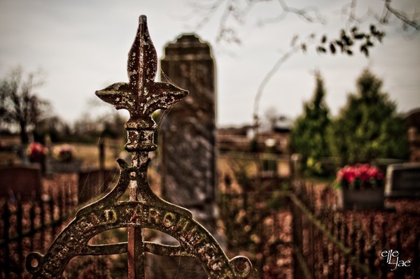 Cemetery #5