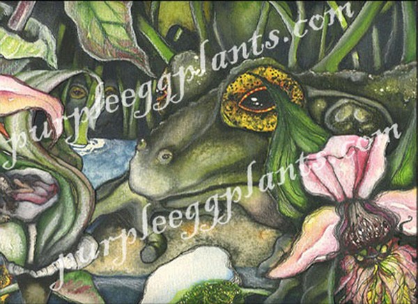 The Peeper Pond