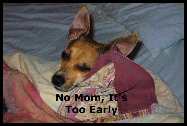 I Said. It Is Time To Get Up!!!!