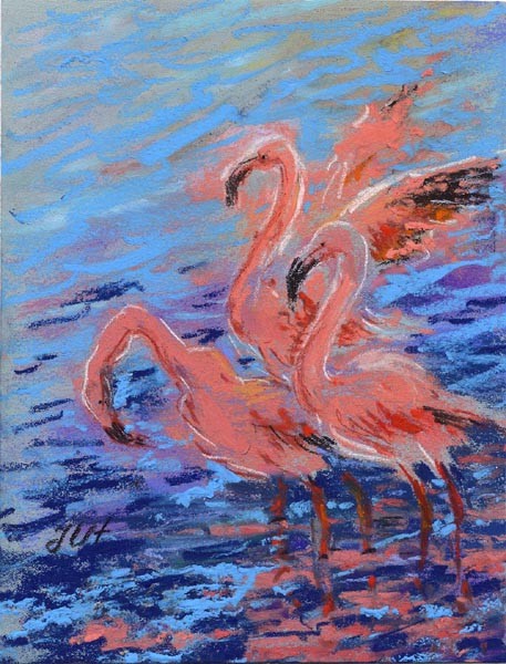 Flamingos.