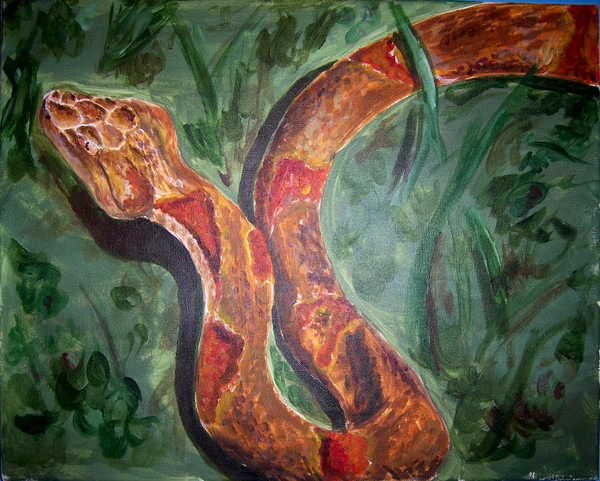 Quiet Serpent