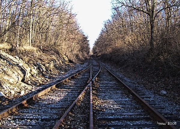 tracks