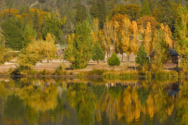 Fall Tapestry